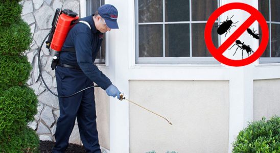 Muğla Dezenfeksiyon böcek ilaçlama ve haşere kontrolü — ilaclama-tr.com